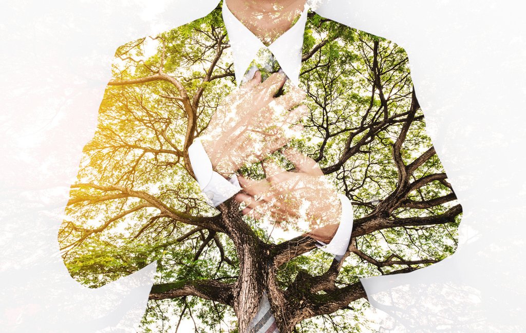 johnquereto's tweet photo. ICYMI: Flora Moon's latest sustainability blog Sustainability: Top Down or Bottom Up? https://t.co/Psaukzm8gc https://t.co/v1F1D9c58B