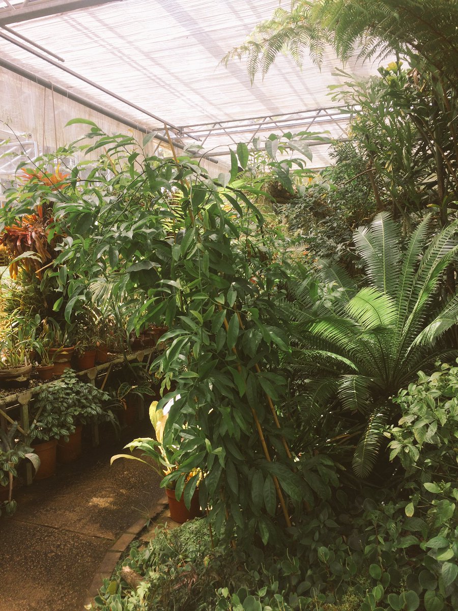 RealityCheckNHS's tweet photo. Thank you @BrisBotanicGdn for having us this afternoon, we really enjoyed ourselves & loved the beautiful tranquil space. #activitygroup https://t.co/6xJFL8HtMl