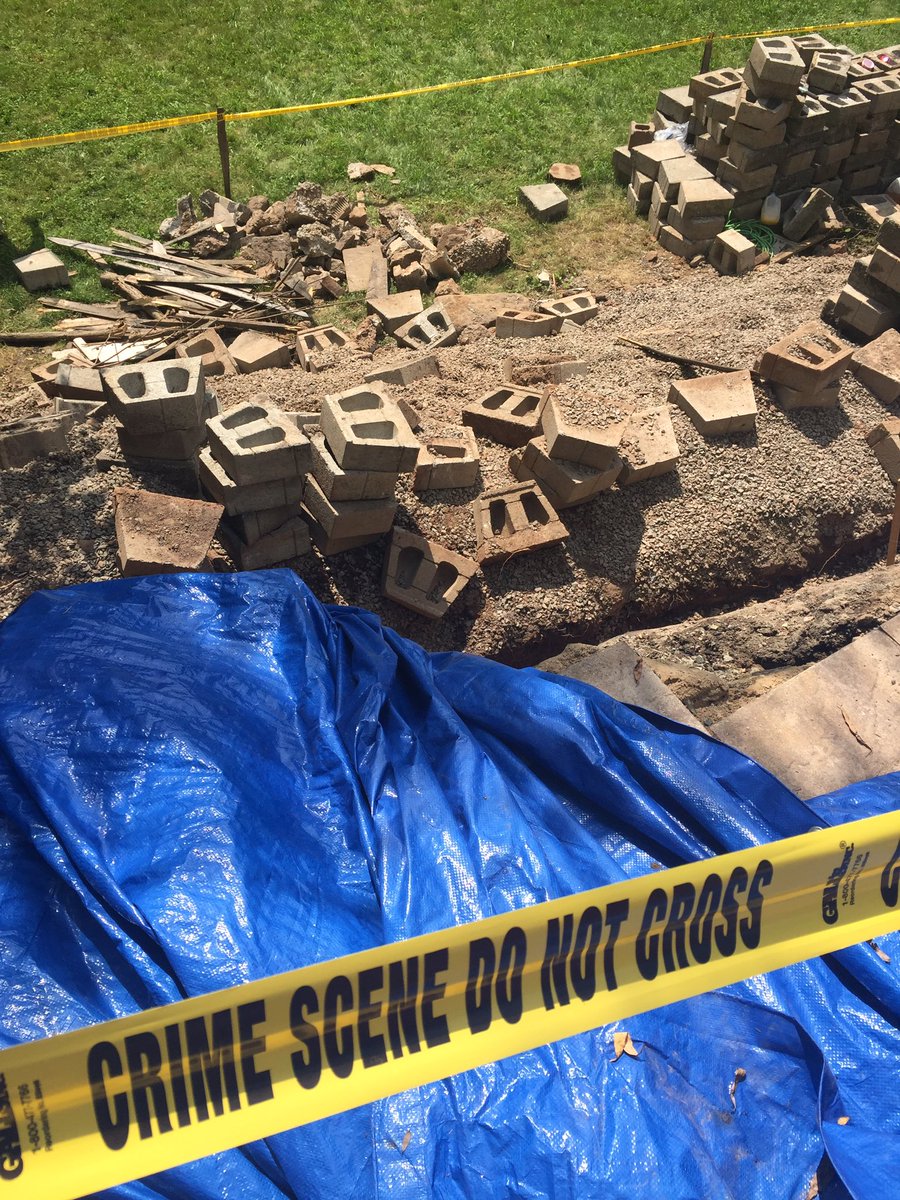 Dave Wood tweet media