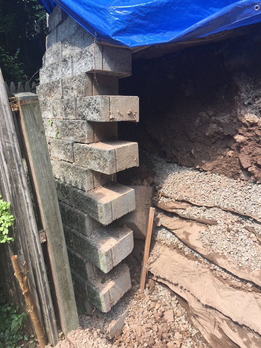 Dave Wood tweet media