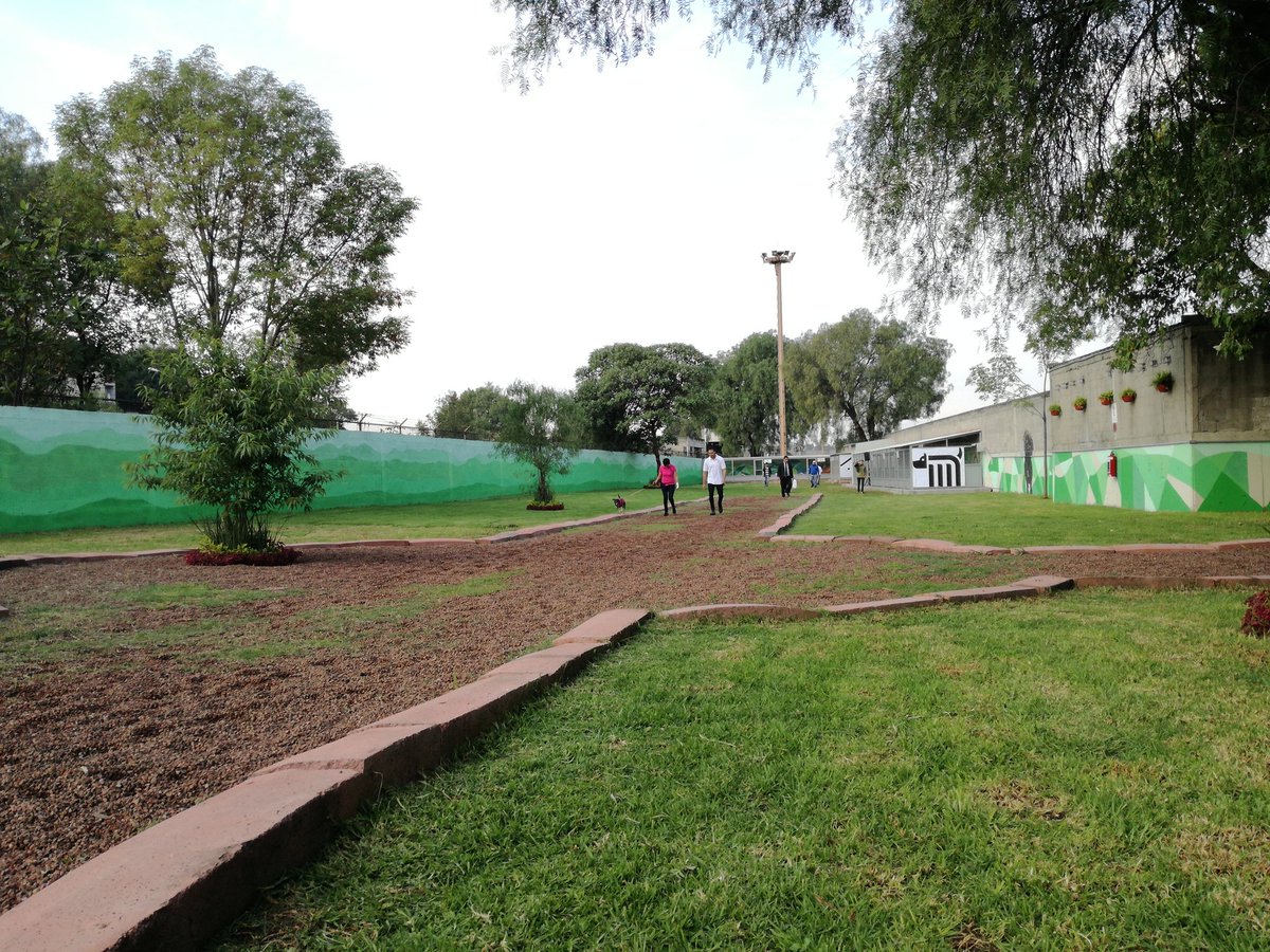MetroCDMX's tweet photo. El Centro de Transferencia Canina cuenta con 3000 m2, 16 jaulas, clínica, espacio de cuarentena y áreas de recreación para los perros. https://t.co/AVeEFAFoUw