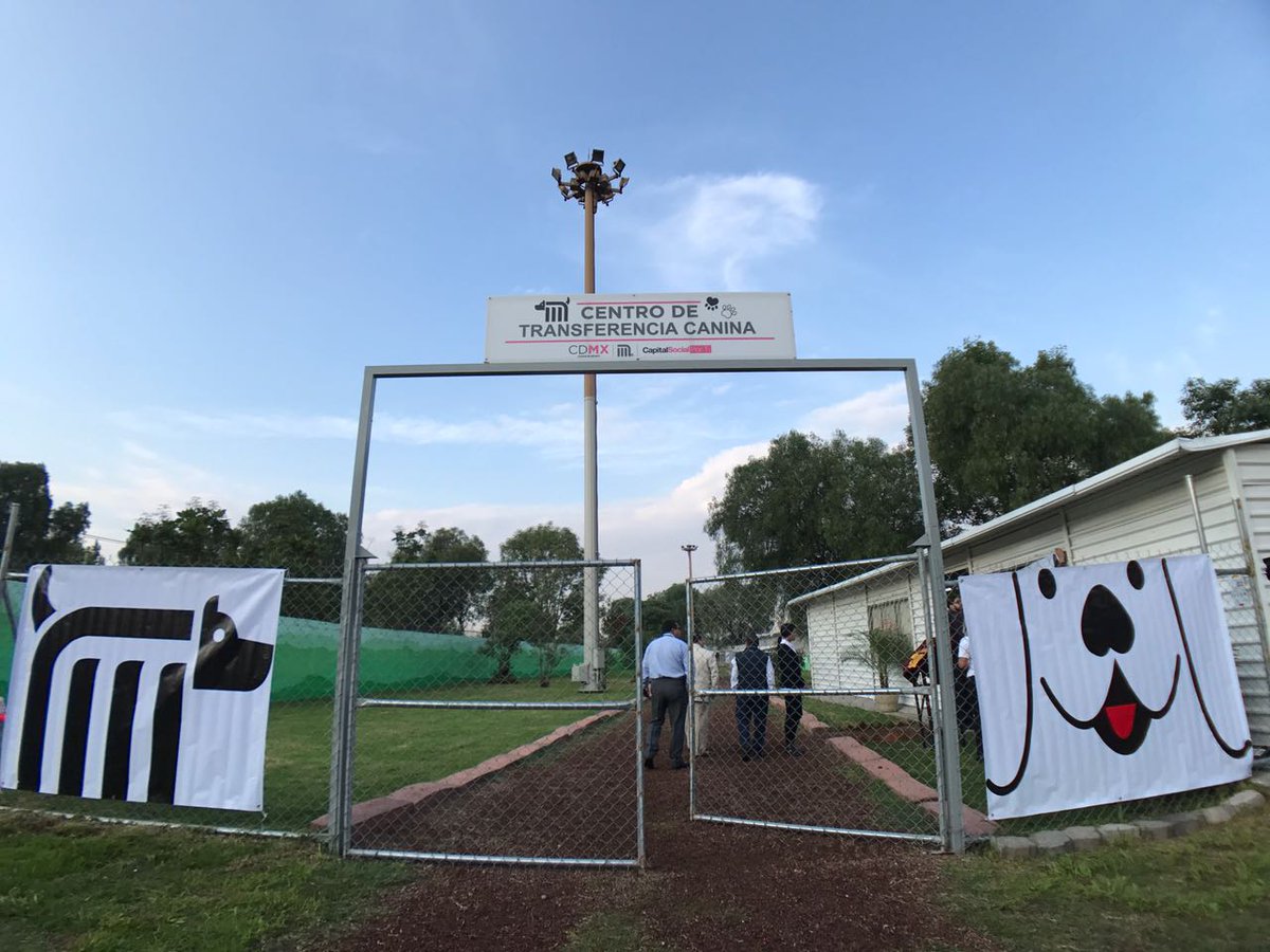 MetroCDMX's tweet photo. El Centro de Transferencia Canina cuenta con 3000 m2, 16 jaulas, clínica, espacio de cuarentena y áreas de recreación para los perros. https://t.co/AVeEFAFoUw