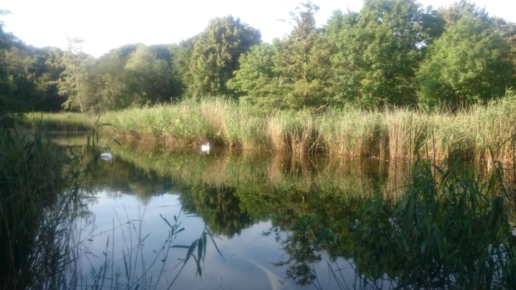Hasenheide jetzt so.