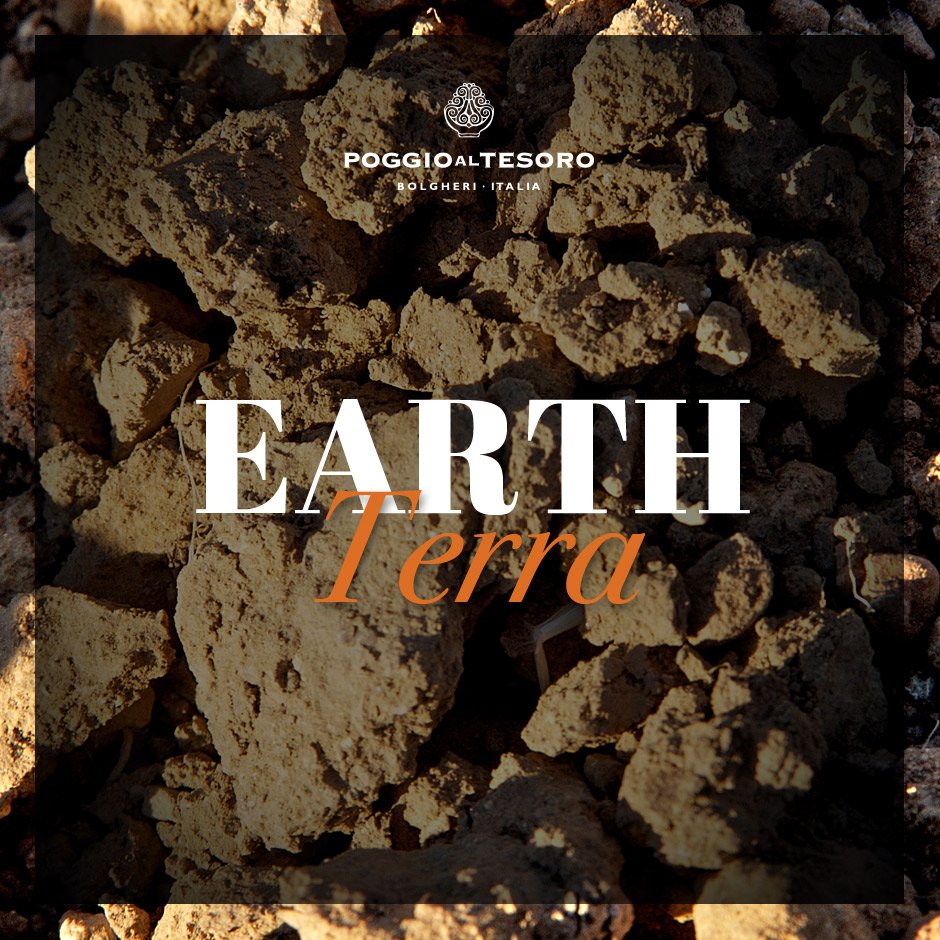 Feconda, silenziosa, generosa.
#poggioaltesoro #toscana #bolgheri #elementi #natura #nature #enviroment #tuscany #vinorosso #redwine #vino