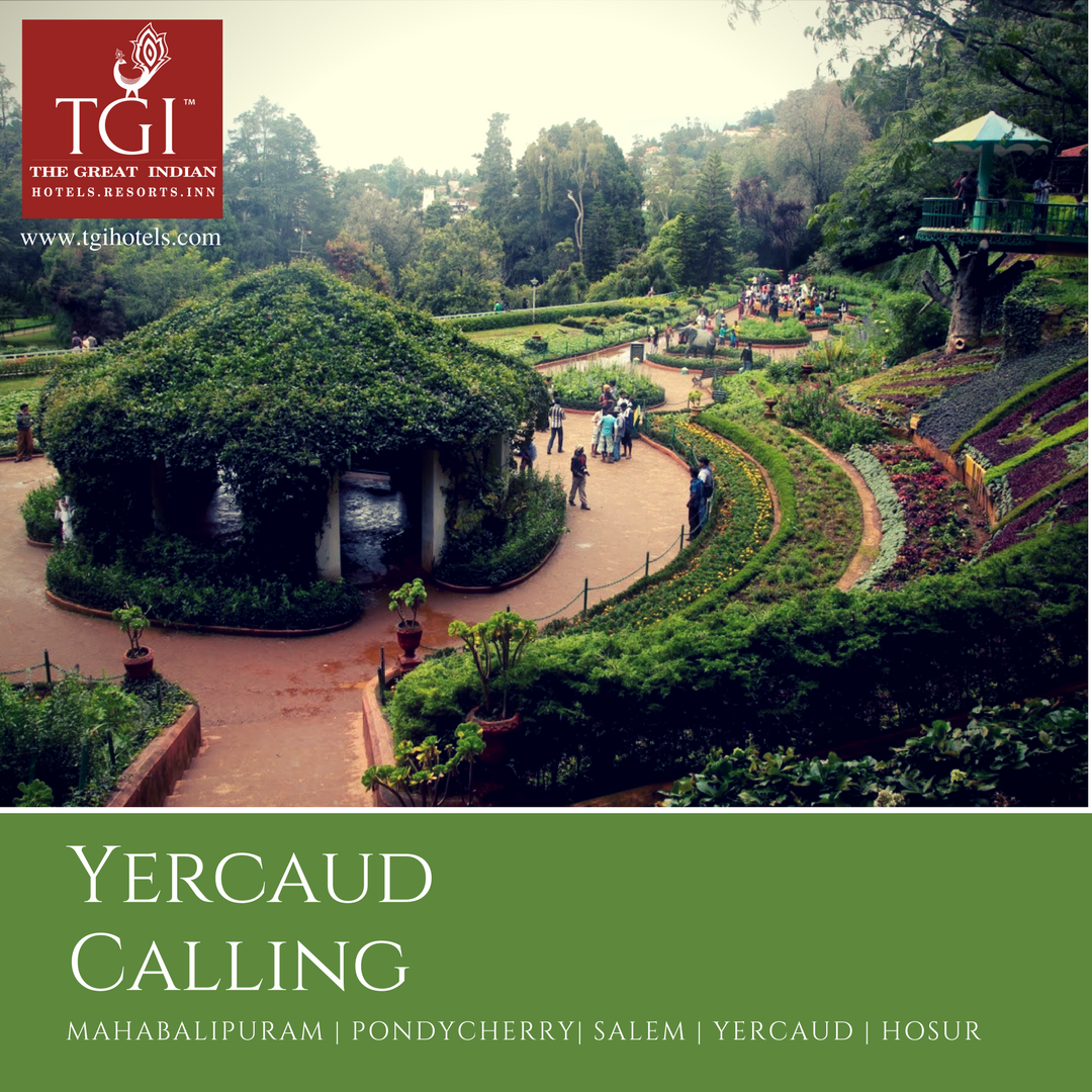 tgi_hotels's tweet photo. #YercaudCalling! Lovely weather for a stroll around the #RoseGarden at #Yercaud 
 #ExperienceTGI https://t.co/epl89Le8VJ