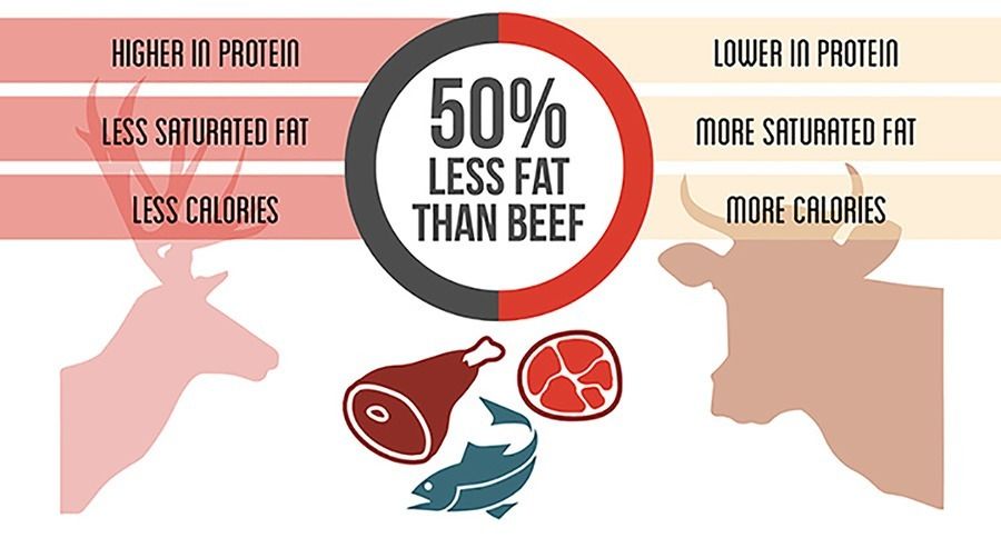 27 Reasons Why Venison is Better for You Than Beef buff.ly/2uCTuab