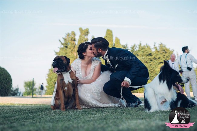 Un’ opportunità unica per chi vuole lavorare con i cani! Vuoi imparare a diventare Wedding Dog Sitter? Scopri di più ow.ly/d7kG30dH4G1