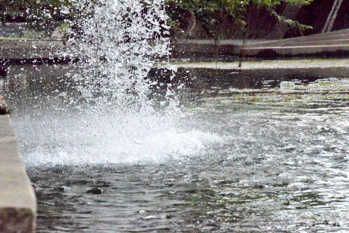 水マニア Twitter Search