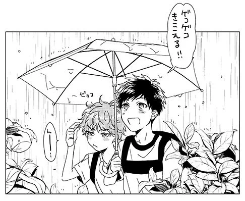 今日雨だったので雨の日ショタ加島とやっちゃん☔️🐸 