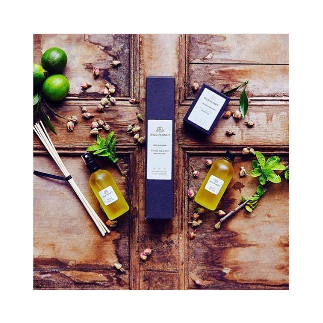 beyond_peter's tweet photo. We can't wait to have @wildplanetaromatherapy with time this Friday @thedandylab #thedandylab #TDLedit #birdstldn … https://t.co/Nyf2ffP8Dk https://t.co/hSoMDrGDB6