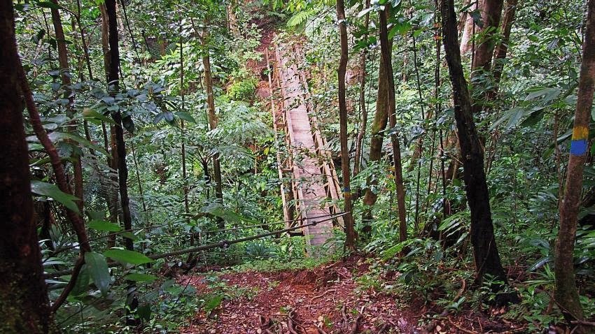 A gorgeous rainforest hike with rivers and waterfalls en route, WNT segment 4 should definitely be on your #Dominica #hiking list #travel