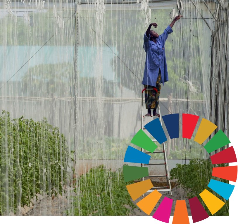 NOVINKA: The #SDGs Report 2017, pdf, 64 stran <a href="/udrzitelne/">Udržitelný rozvoj</a> <a href="/VIZE2050_cbcsd/">VIZE 2050</a> <a href="/Asociace_CSR/">A-CSR</a> <a href="/czechaid/">CzechAid</a> bit.ly/2ud4MkV