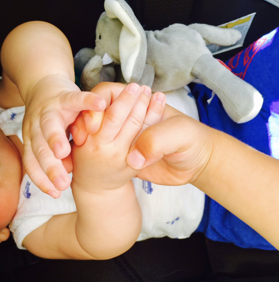 Dru Garza tweet media