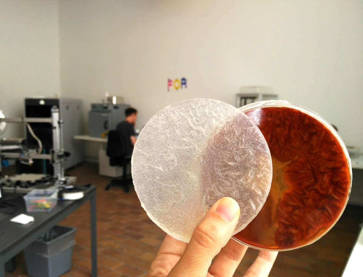 mbotoord's tweet photo. Summer research @ Formlab with @eliasheuninck #microlandscape https://t.co/wNQlCu0MRW