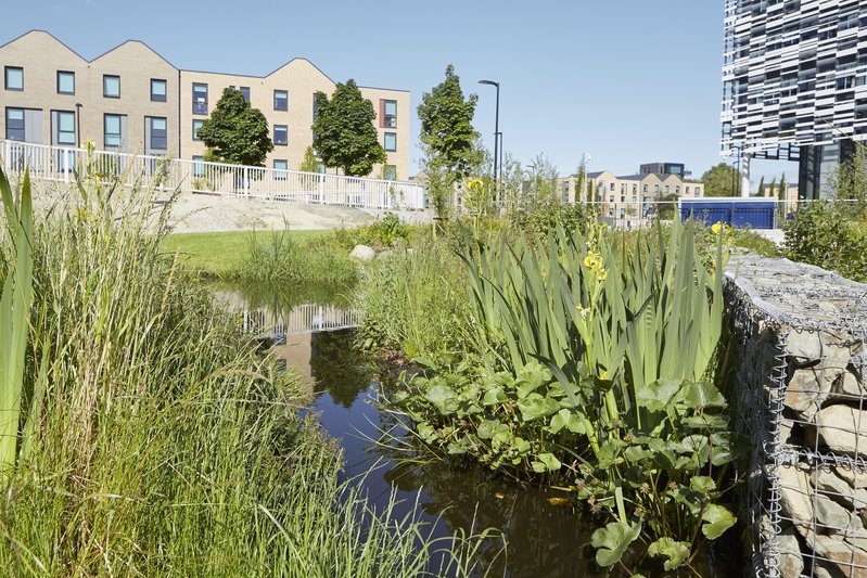 McrMetSustain's tweet photo. Come to @MMUBirley to discover @ManMetUniβs community orchard, woodland & wetland areas on 27 July. https://t.co/mc1lHAzo5k #CommLearnFest https://t.co/bKDtSFZmoG