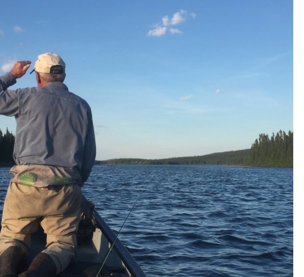 MinipiLodges's tweet photo. A great day on the water. Fish on! #flyfishing #brooktrout #Minipi #exploreNL https://t.co/kirFYPKxdt