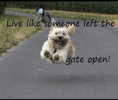 marshawright's tweet photo. Run free! Use your stored ideas and go wild, make something of it! #getupstandup #business #life #success https://t.co/kNGooGxYKN