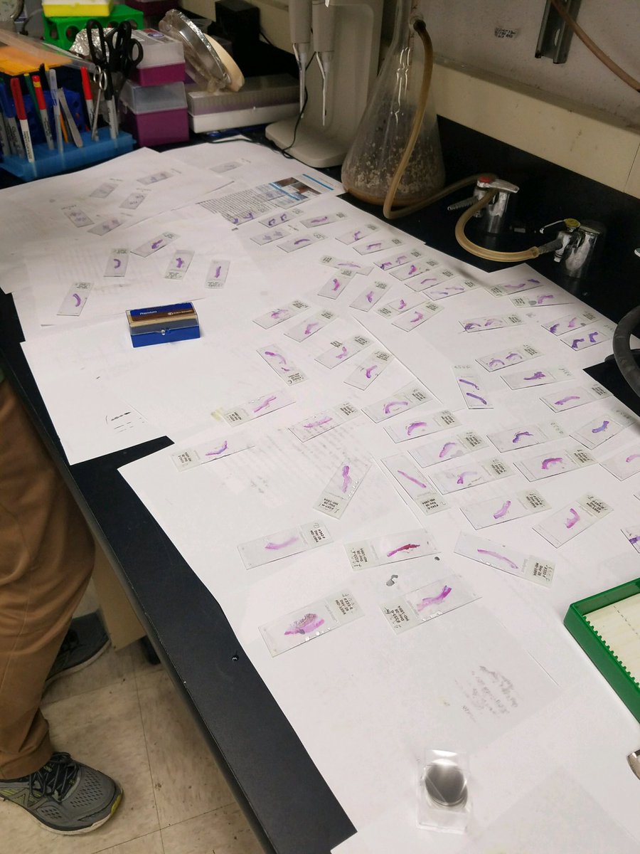 MicroCures, Inc. tweet media