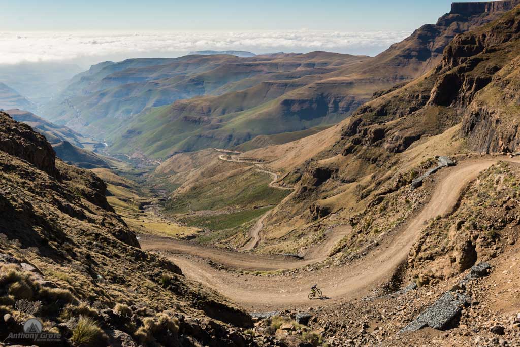 SaniDragon tweet media