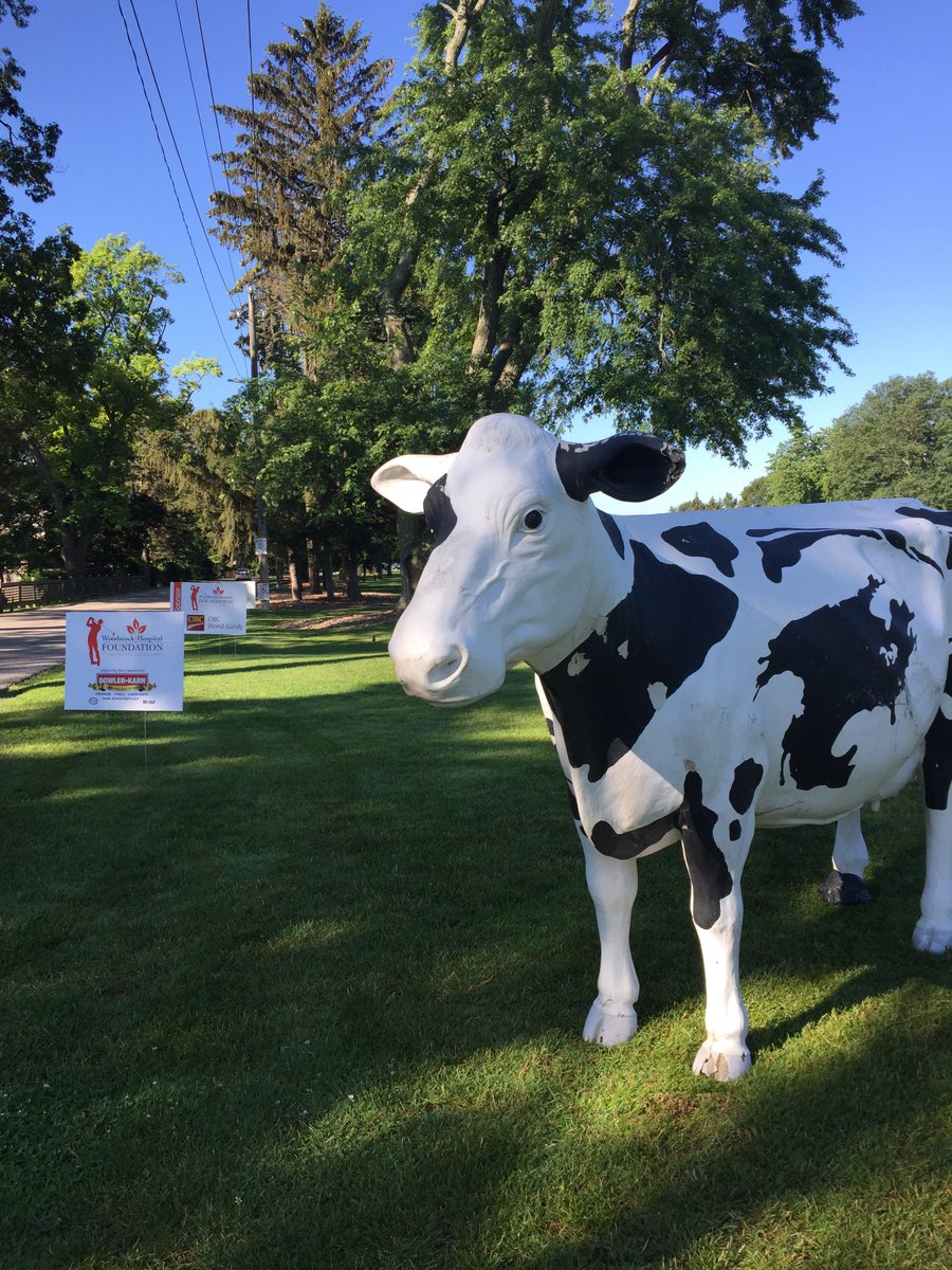 BrantfordGolfCC's tweet photo. A friend is joining us today for the Woodstock General Hospital Foundation Tournament!  Wonder what her handicap is.... https://t.co/U92Q9sDr6e