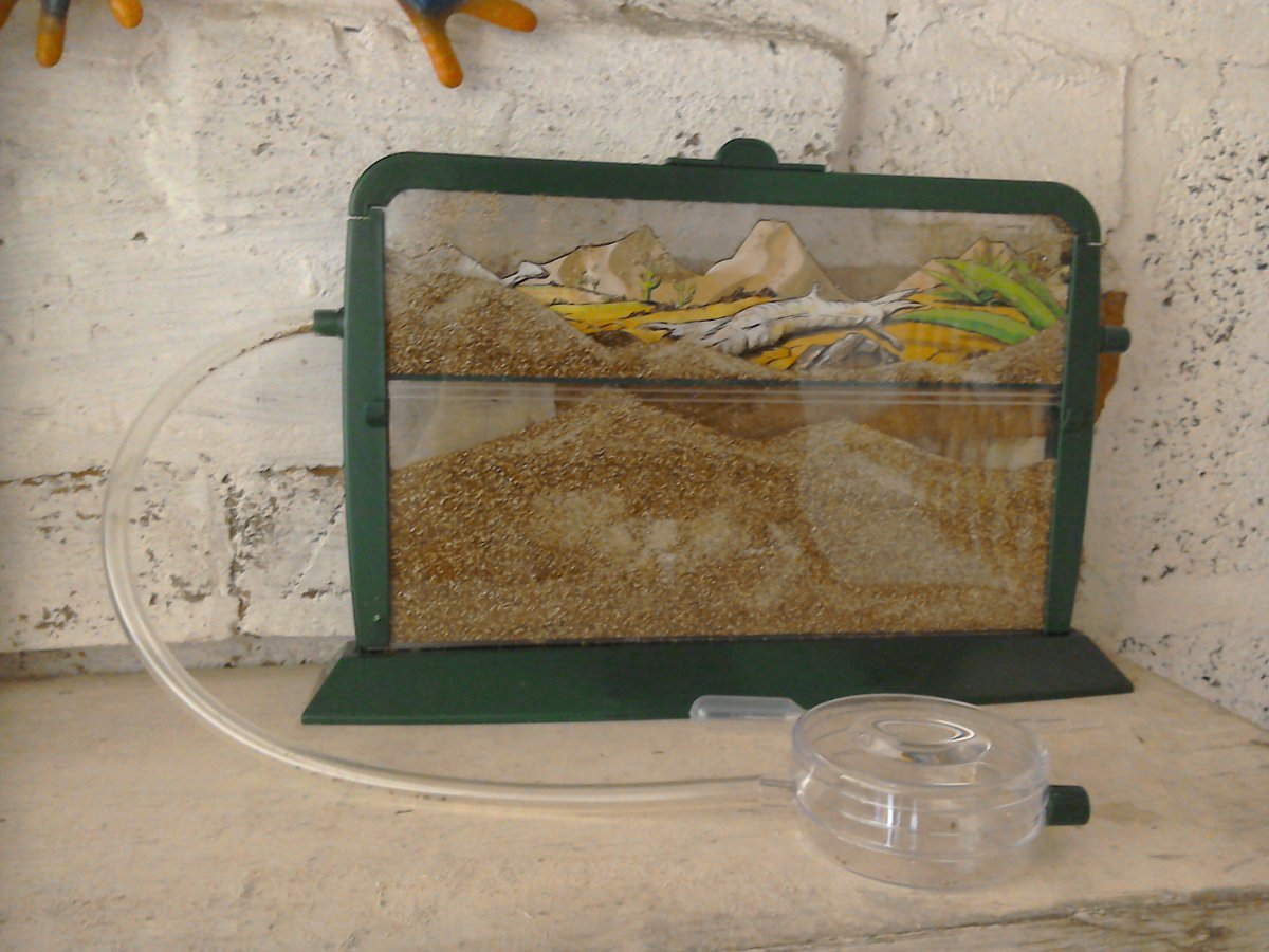 Making_Miracles's tweet image. BR have got their ant hotel built now all we need to do is find some ants to go in it.
#anthouse #caringforants