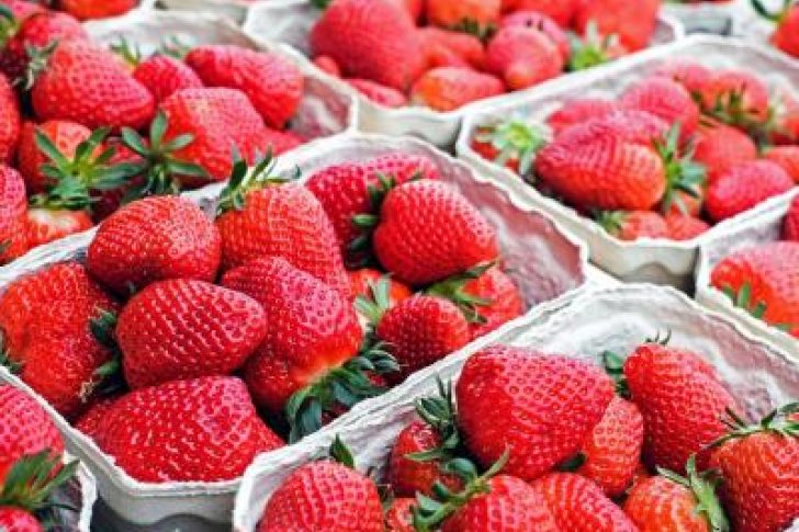 sernainVE's tweet photo. Las fresas previenen el alzhéimer https://t.co/WkhKTiNo3Y https://t.co/DV1BaRZiTG