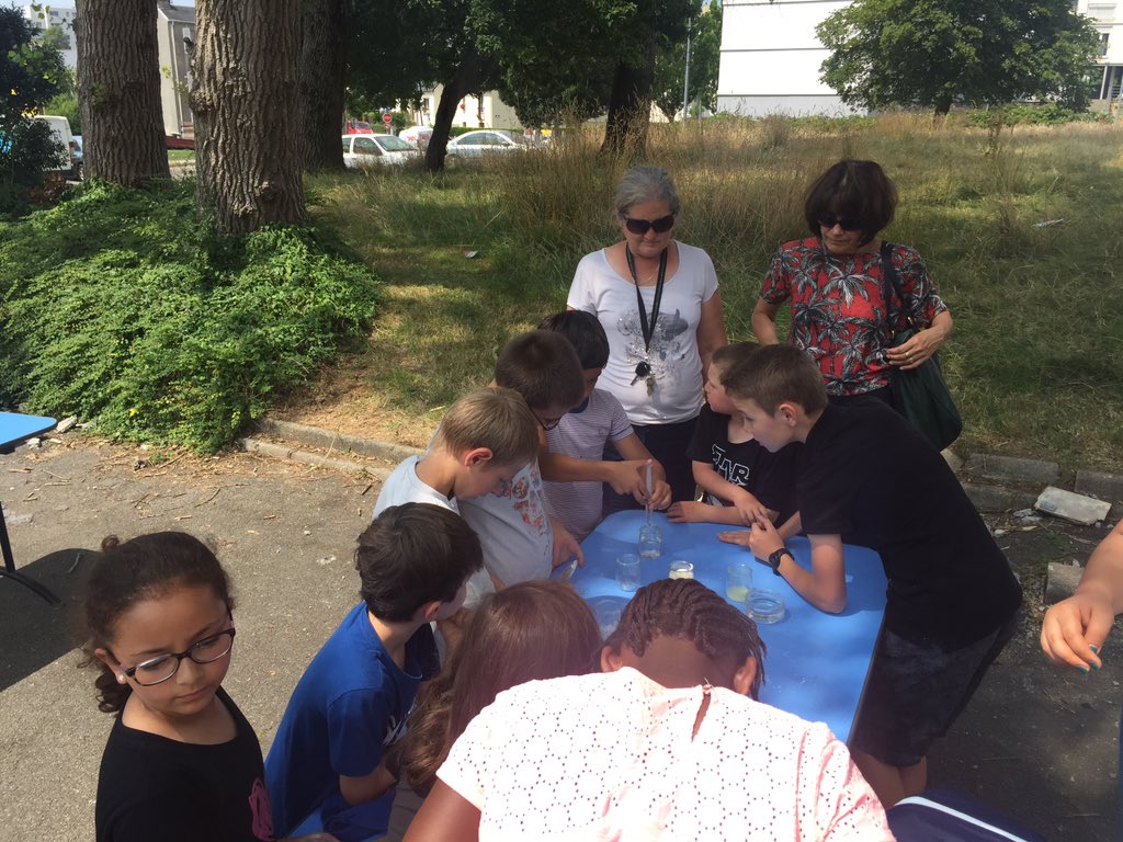 PetitsDebsBrest tweet media