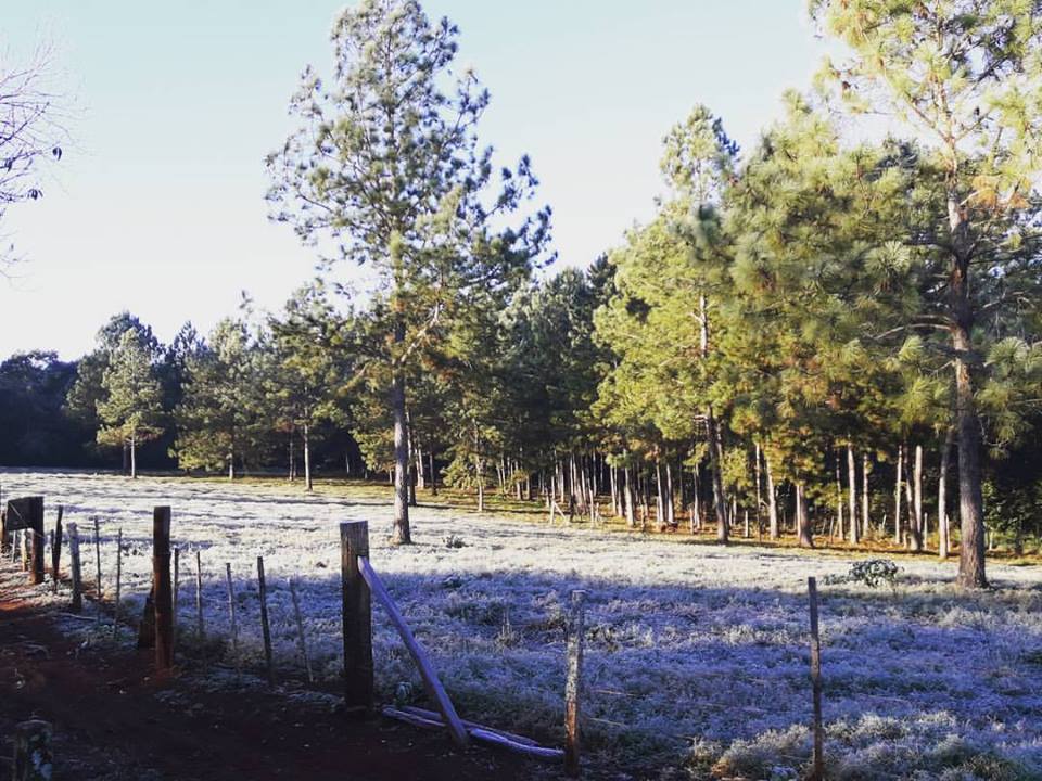 EldoradoMnes's tweet photo. No es Bariloche, es Eldorado https://t.co/b3SXU5mzQ2