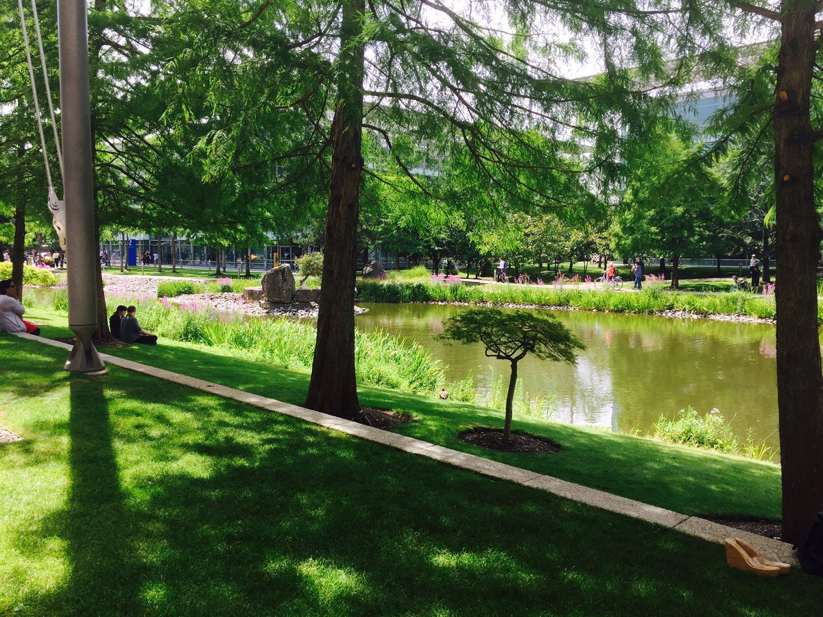 MktingMonkey's tweet image. Not too shabby for today&apos;s work setting :) #chiswickbusinesspark #Marketing #clientstrategy