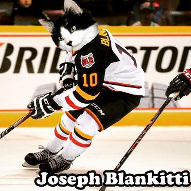 Image result for joseph blandisi a very barrie colts blog