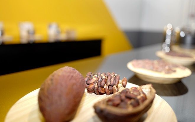 Travel2Iceland's tweet photo. Looking for a #foodie experience in Reykjavik? Check our unique ideas including a pub crawl and chocolate tasting. https://t.co/84ZEmabW99 https://t.co/0ZXDoToA3H