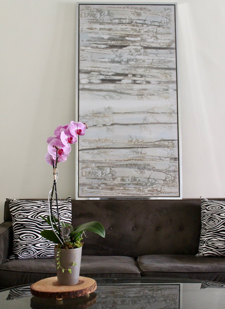 urbanjungledc's tweet photo. Sometimes all it takes is one perfectly placed orchid to pull a room together #thisismadeindc #capitolcreated #urbanjungledc https://t.co/DP47Kyp89M