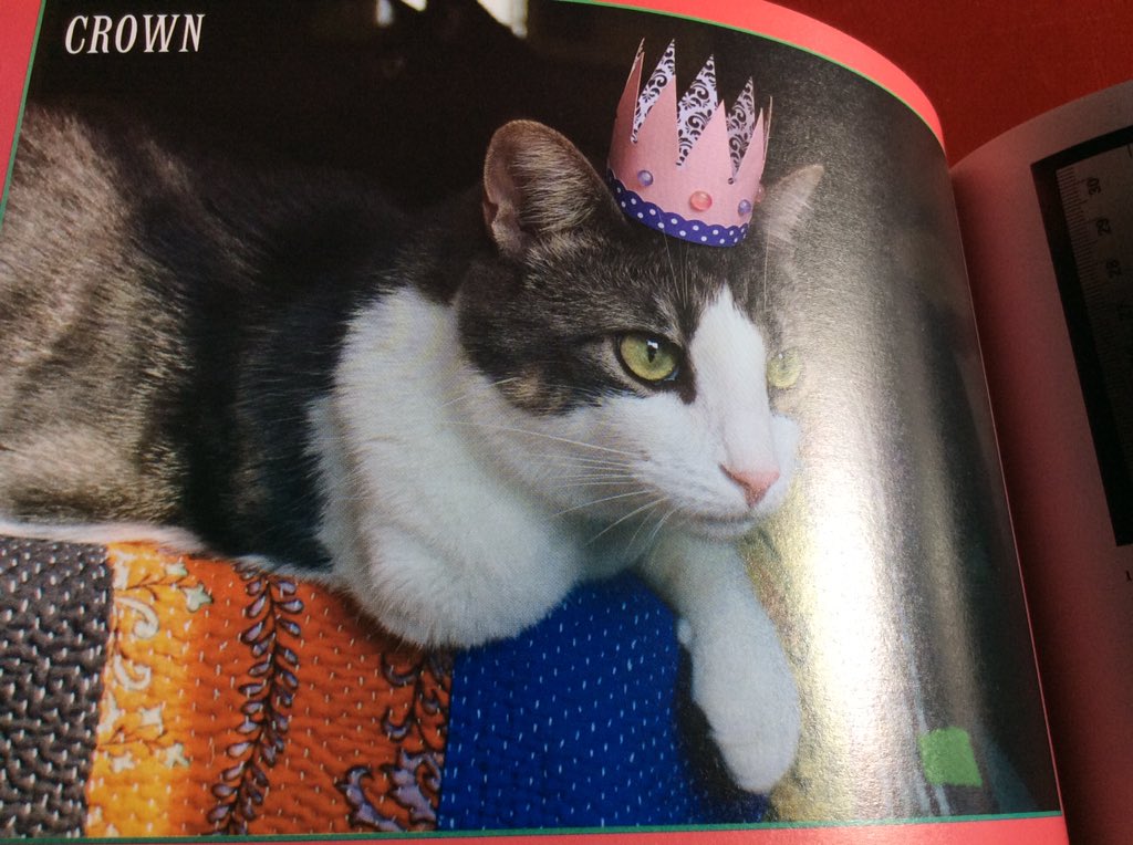 TheSJAMLibrary's tweet photo. You could also make a crown. Lifesized or like this adorable one from the book #TinyHatsonCats by Adam Ellis (usedwithauthorpermission) https://t.co/Wve5fNoWVN
