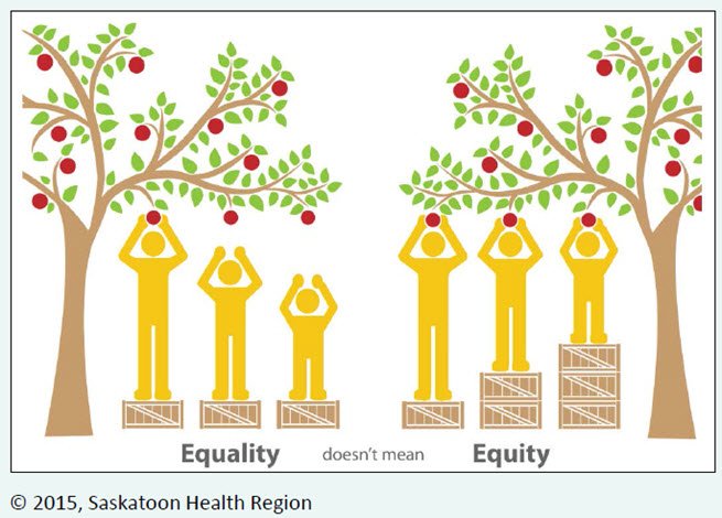CIHI_ICIS's tweet photo. What’s the difference between #healthequity and health equality? https://t.co/rY1qoJ7L2R https://t.co/mcJdlropmw