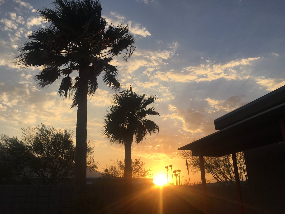 PiaHytonen's tweet photo. Lovely #summerhome 💛Thanks @acmehouseco #artfulcosmo #palmsprings #iloveit #hyvämieli 💛 https://t.co/b9MA0PttHA