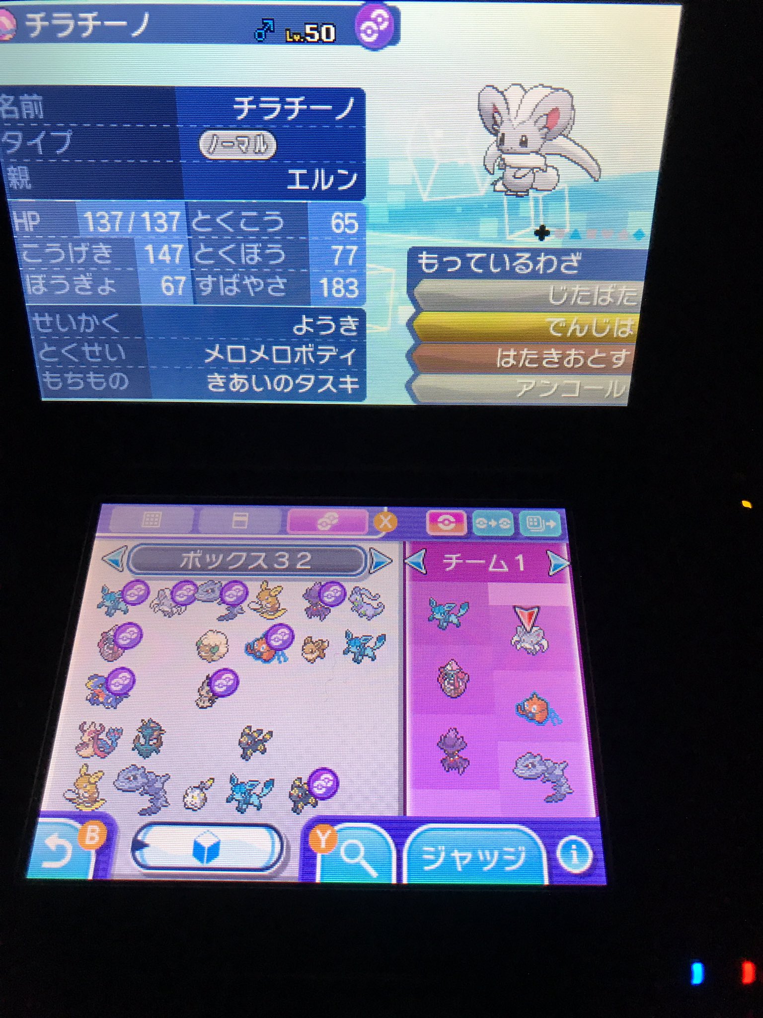 エルン Xyから変わらない技構成のチラチーノくん ౪ Zクリスタルの追加ではたき落とすの効果が薄まってるけど まず型バレしない1匹 サポート兼アタッカーとして動いて メガバシャをじたばたで倒す可愛いやつどす W ポケモン