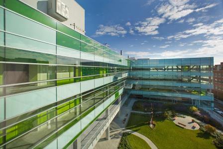 Joint BioEnergy Institute (JBEI) tweet media