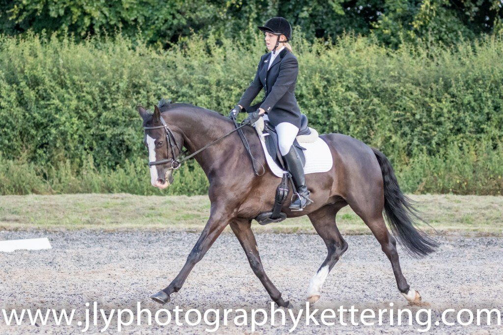 JlyphotographyK's tweet photo. @cvrc1 Outdoor #dressage series #moultoncollege #equoshowtime @equoevents #jlyphotography https://t.co/aKaezWrf4H https://t.co/tNtgXopbIy