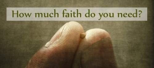 Marvel0usJesus's tweet photo. Jesus said “If you have faith as a mustard seed and nothing will be impossible for you." (Matthew 17:20) https://t.co/i4Skrn7xhN