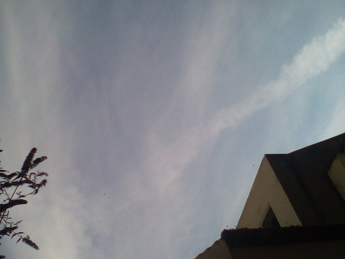 NIEWUK's tweet photo. They've been spraying extremely heavily in last couple of days. Air is clammy &amp; sky is glarey. Mostly at sunset.
#AltRightEco #chemtrails https://t.co/WmE79Tgb9B