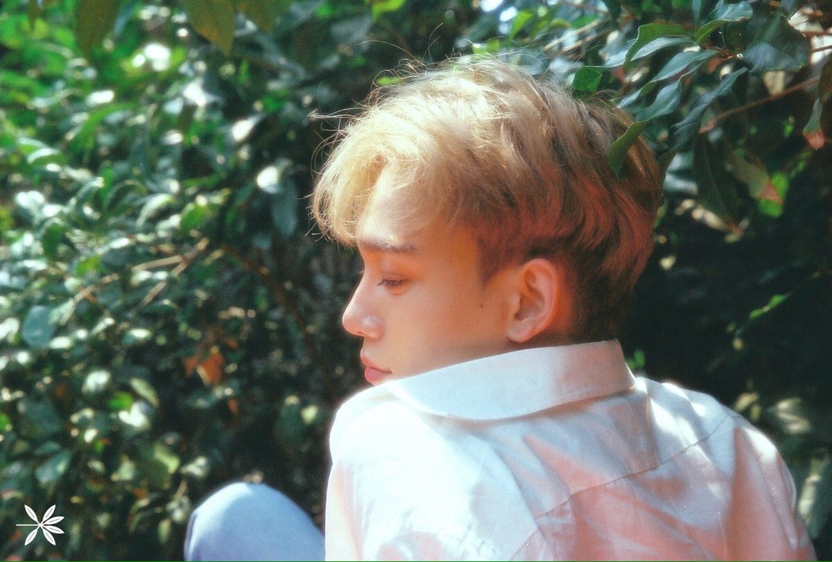 35+ Foto Chen Exo Aesthetic Images