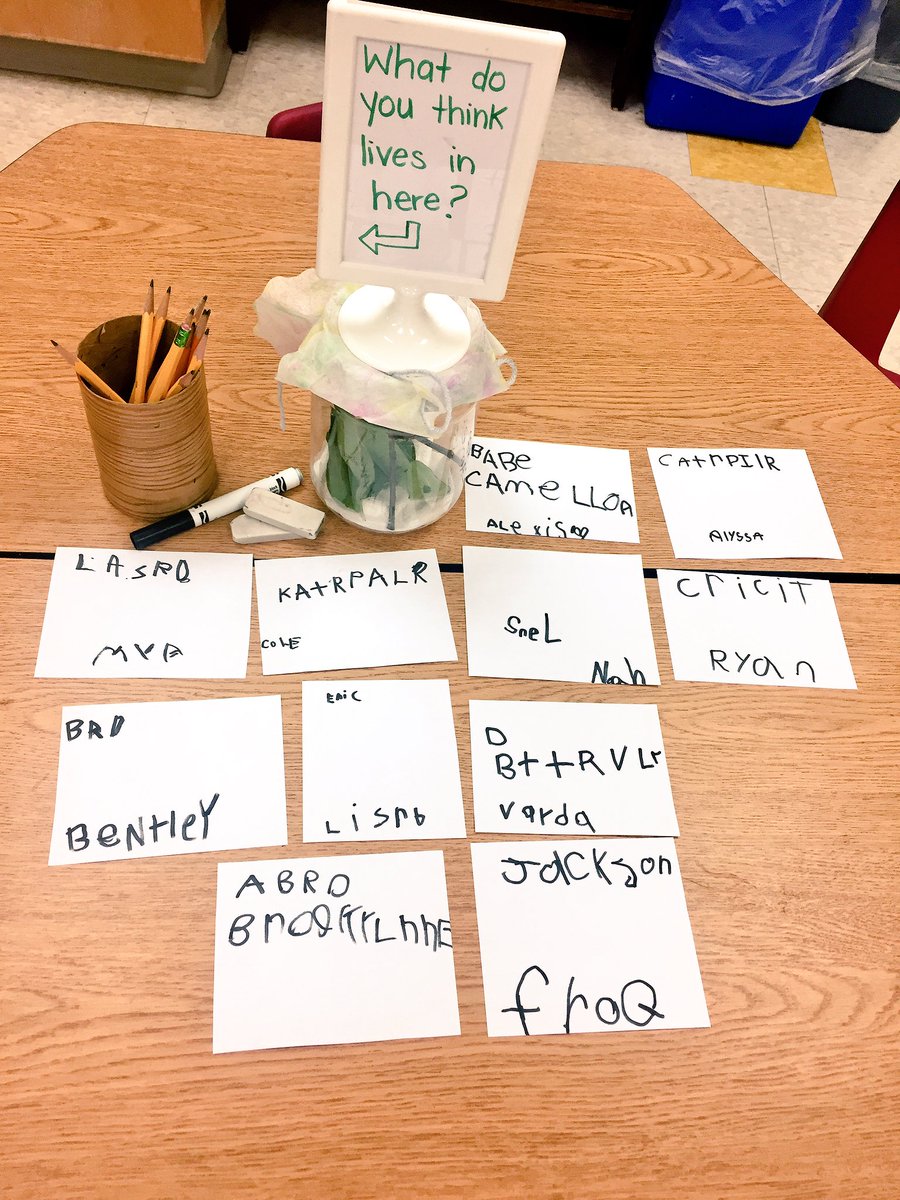 Mgikov's tweet photo. Guessing what lives in this jar.. ππ #newclassroompet #tinycreatures #BB1 https://t.co/7yv8GObz9k