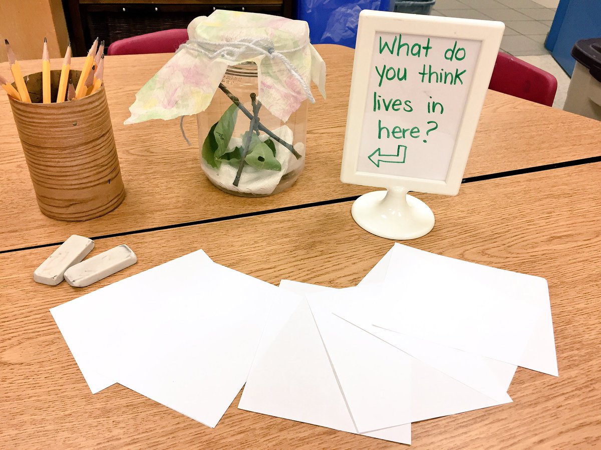 Mgikov's tweet photo. Guessing what lives in this jar.. ππ #newclassroompet #tinycreatures #BB1 https://t.co/7yv8GObz9k