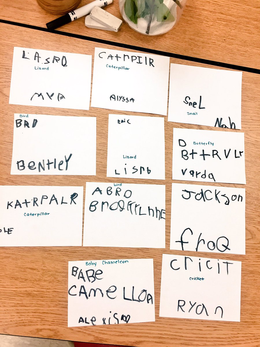 Mgikov's tweet photo. Guessing what lives in this jar.. ππ #newclassroompet #tinycreatures #BB1 https://t.co/7yv8GObz9k