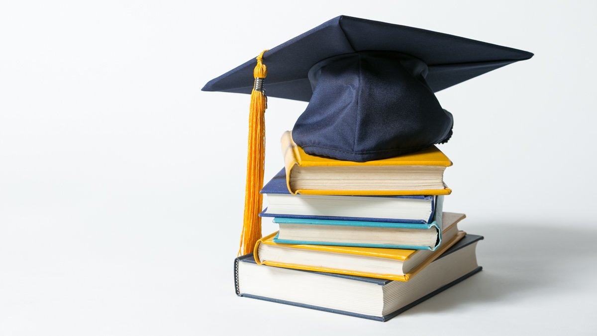 essay grade 8 how to write an essay paper sample
