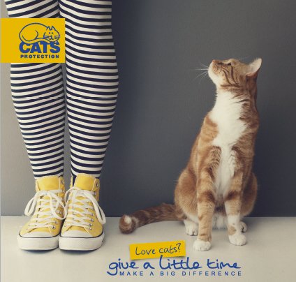 CPSNWE's tweet image. We are
looking for friendly and outgoing volunteers for our Penwortham Charity shop in
Preston. Check them out here: bit.ly/2mH8EmN