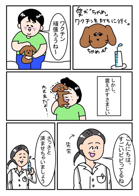 #ちゃめ日記

ちゃめのこんな顔、はじめて見ました。 