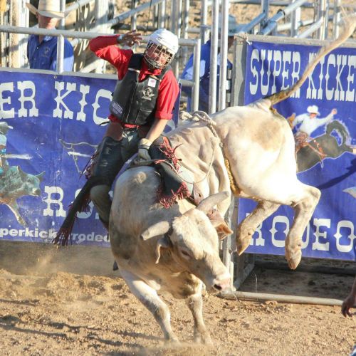 casscountymi's tweet photo. Come see Super Kicker Rodeo on Monday, Jul. 31 https://t.co/njIKwyJTho #mycasscountyfair https://t.co/kg6w1wk7vz