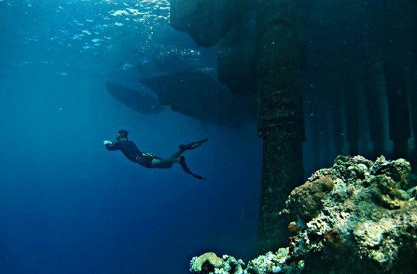 Klikhotel's tweet photo. Snorkling di Sombu Dive, Wakatobi ini sangat asyik, unik dan keren banget. Mau tau rute gampangnya? cek aja di sini https://t.co/8LSm60lhgy https://t.co/AT8yGGtOTM