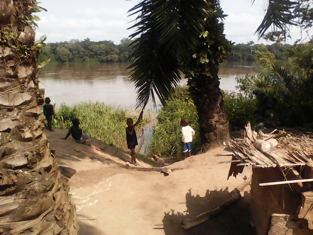 Fern_NGO's tweet photo. "@GouvCongoBrazza doit donner sa chance à la #foresterie #communautaire" – dit Maixent Agnimbat du #FGDH
Projet CoNGOs, atelier @IIED https://t.co/7uQ2AhGDJg